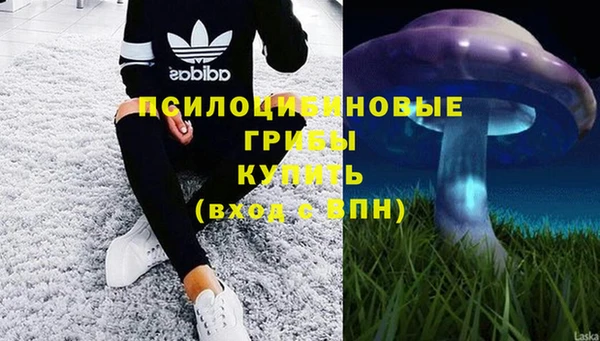 сатива Верхний Тагил