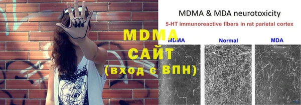 сатива Верхний Тагил