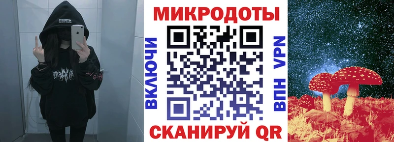магазин продажи   Гвардейск  Галлюциногенные грибы MAGIC MUSHROOMS 